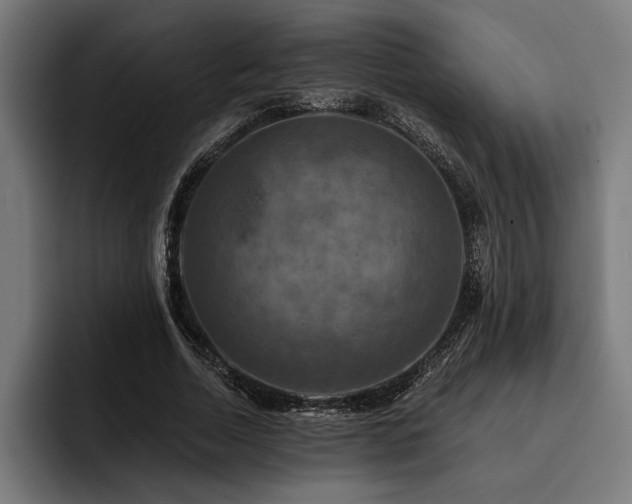 X0000093400730200710121058