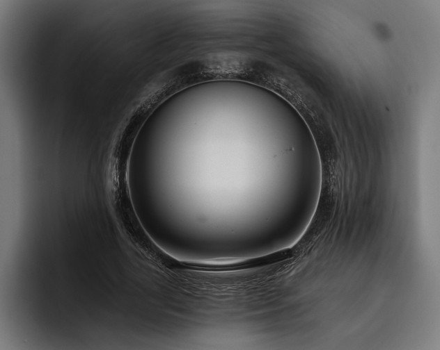 X0000093400731200710121058