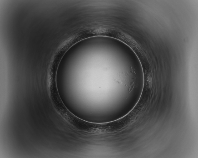 X0000093400732200710121058