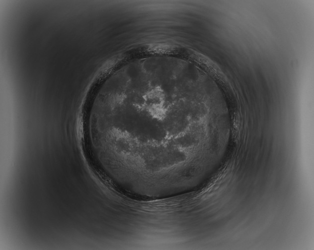 X0000093400734200710121058