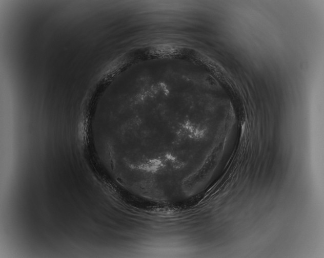 X0000093400735200710121058