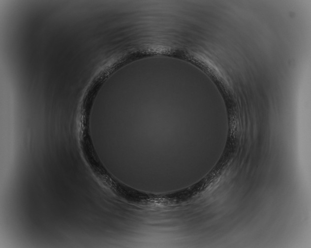 X0000093400736200710121058