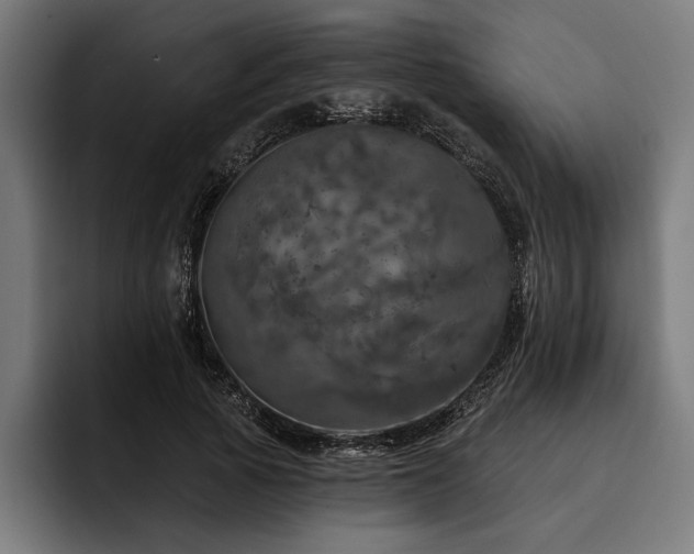 X0000093400737200710121058