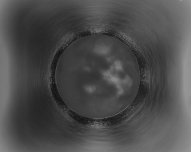 X0000093400738200710121058