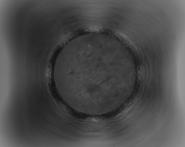 X0000093400739200710121058