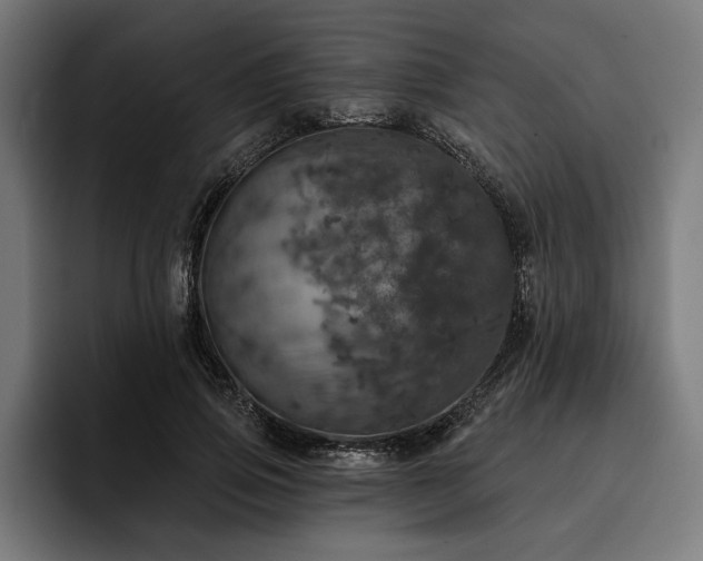 X0000093400741200710121058