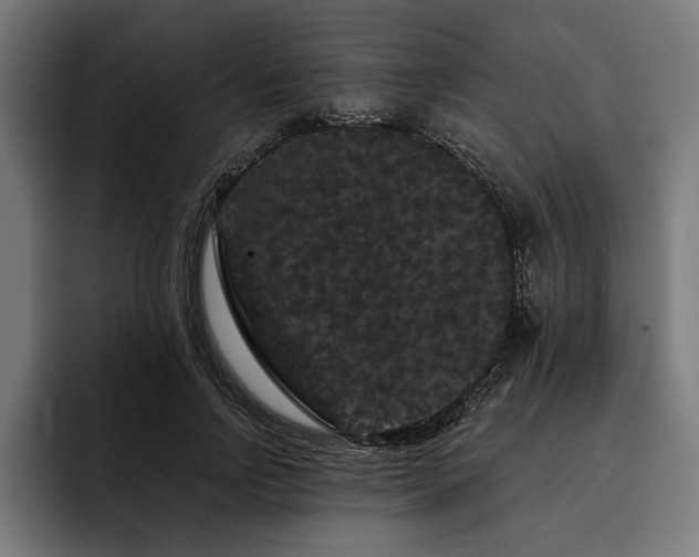 X0000093400742200710121058