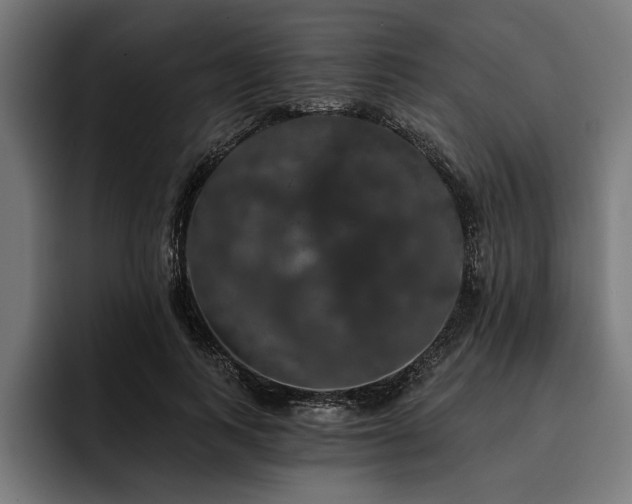 X0000093400743200710121058