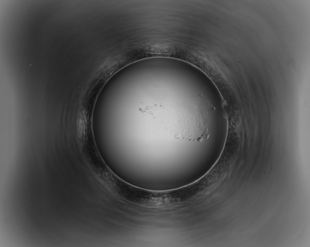 X0000093400744200710121058