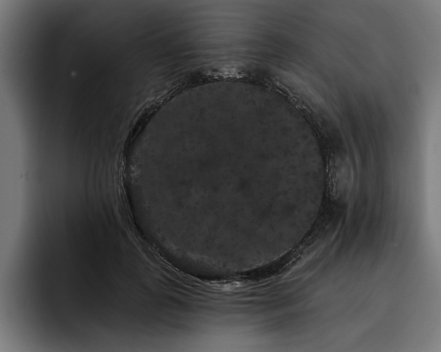 X0000093400747200710121058