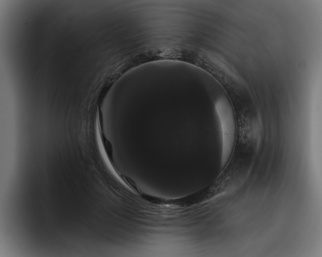 X0000093400748200710121058