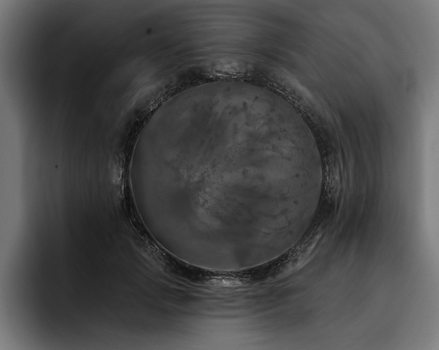 X0000093400749200710121058