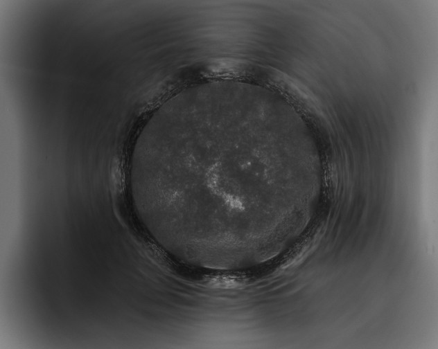 X0000093400751200710121058