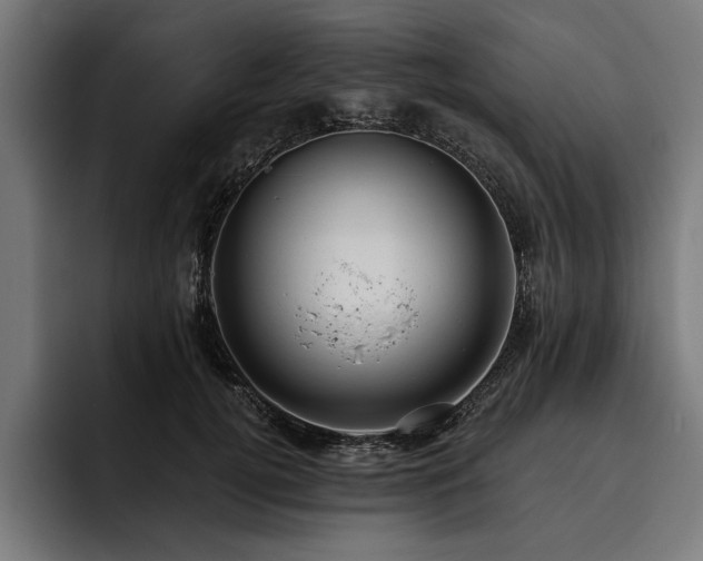 X0000093400752200710121058