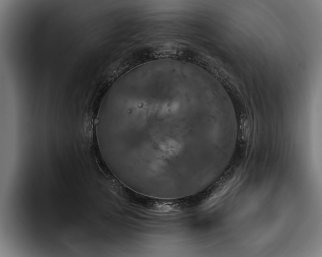 X0000093400753200710121058