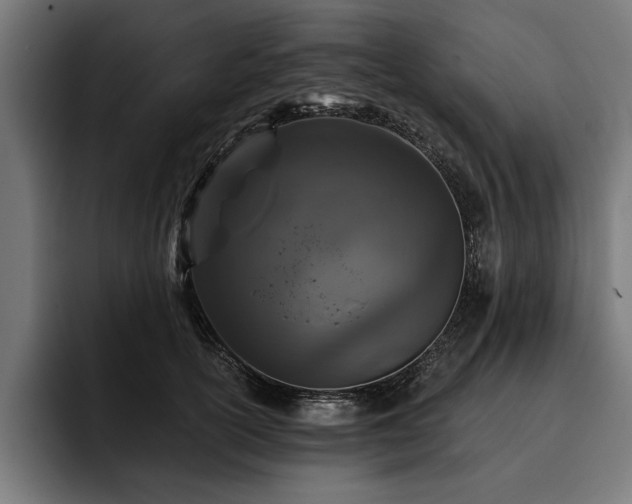 X0000093400754200710121058