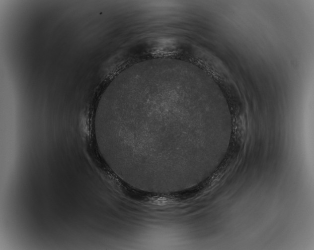X0000093400755200710121058