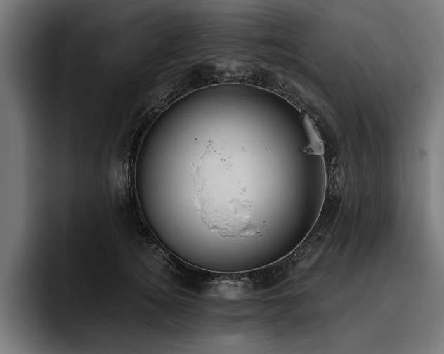 X0000093400756200710121058