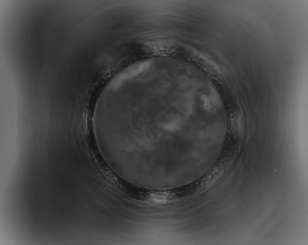 X0000093400757200710121058