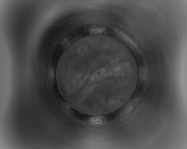 X0000093400761200710121058