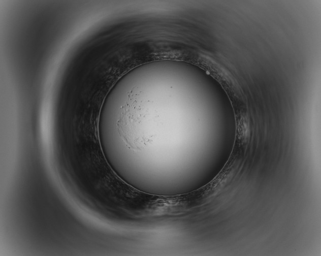 X0000093400764200710121059