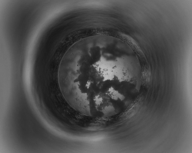 X0000093400765200710121059