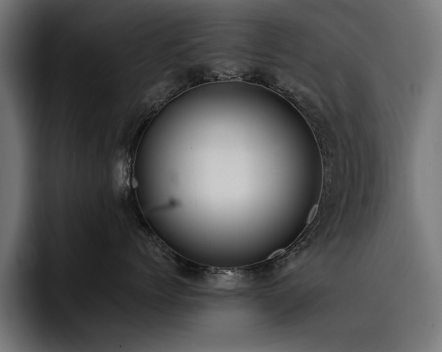 X0000093400768200710121059