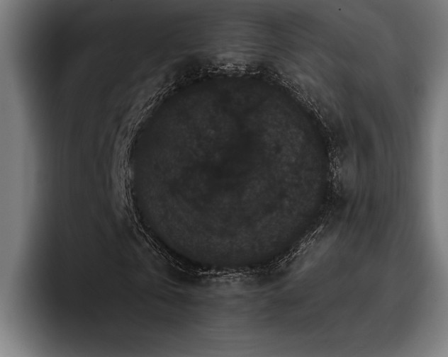 X0000093400769200710121058