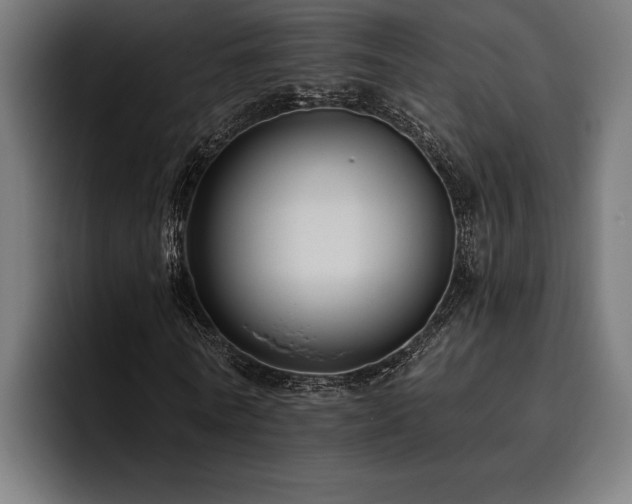 X0000093400770200710121058