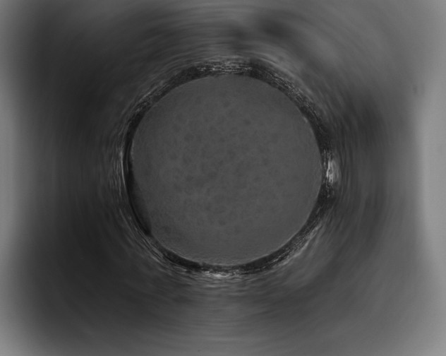 X0000093400771200710121058