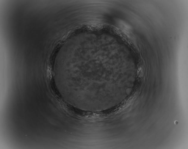 X0000093400772200710121058