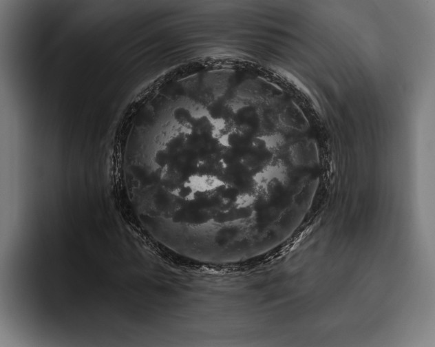 X0000093400775200710121058