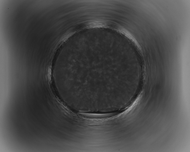 X0000093400777200710121058
