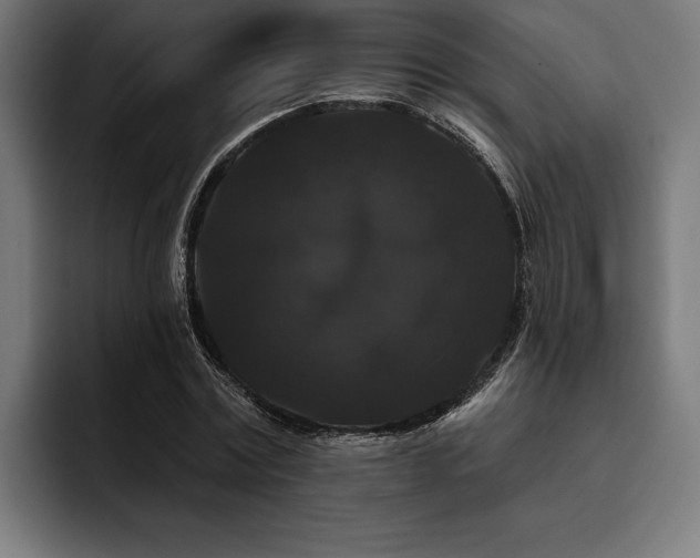 X0000093400779200710121058