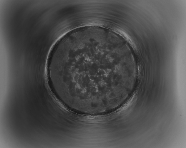 X0000093400780200710121058