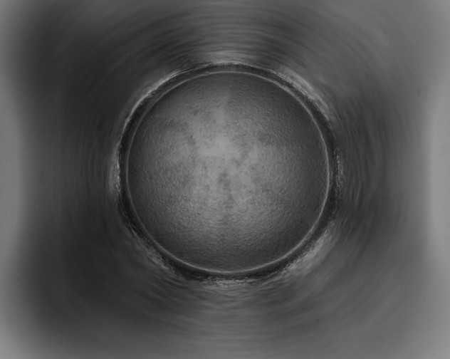 X0000093400782200710121058
