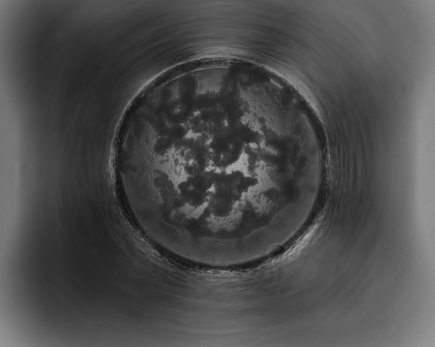 X0000093400783200710121058