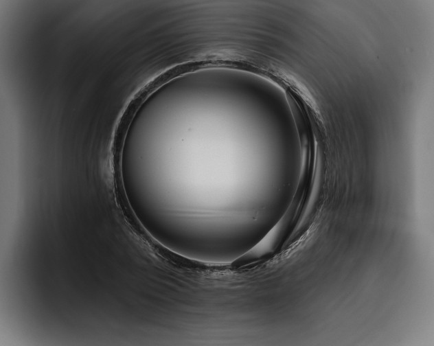 X0000093400784200710121058