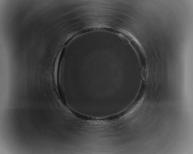 X0000093400785200710121058