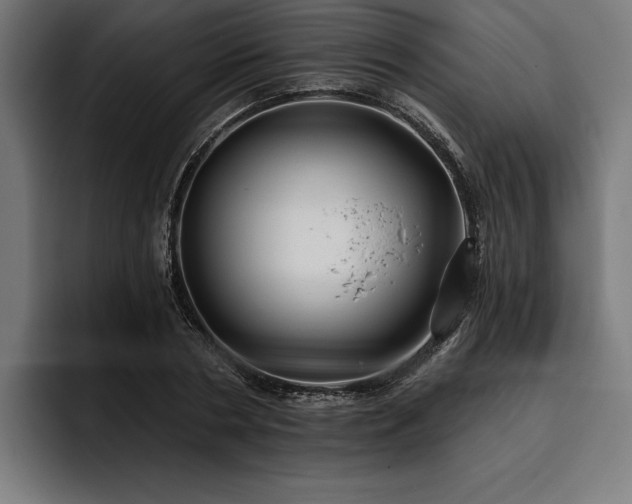 X0000093400786200710121058