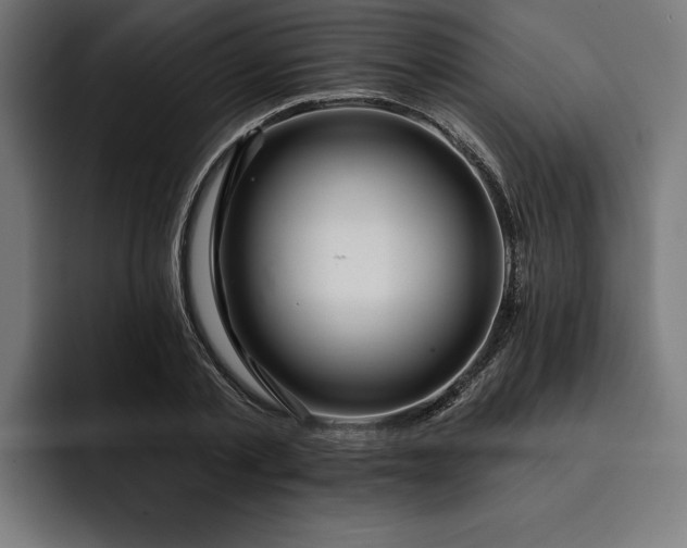 X0000093400789200710121058