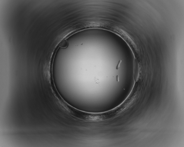 X0000093400794200710121058