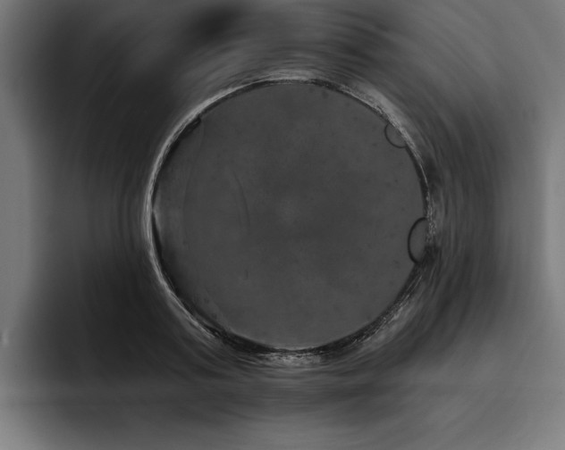 X0000093400795200710121058