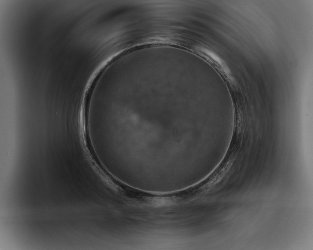X0000093400796200710121058