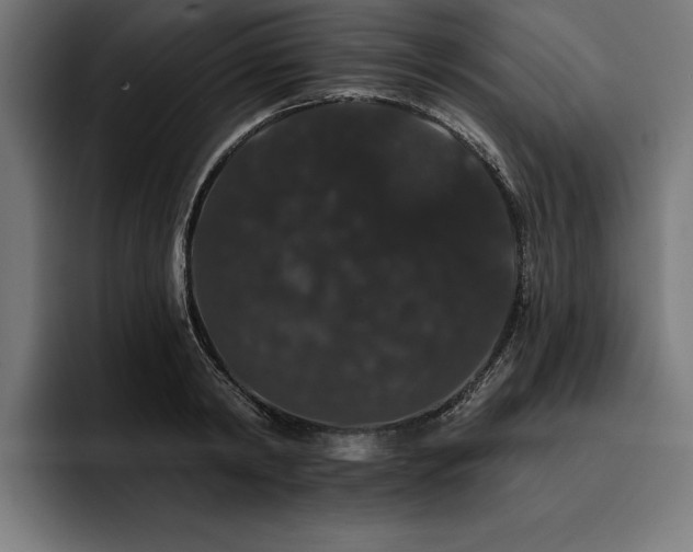 X0000093400798200710121058