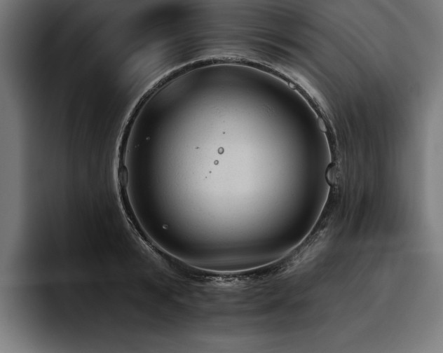X0000093400799200710121058