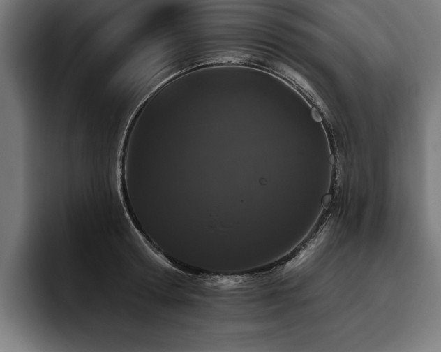 X0000093400802200710121058