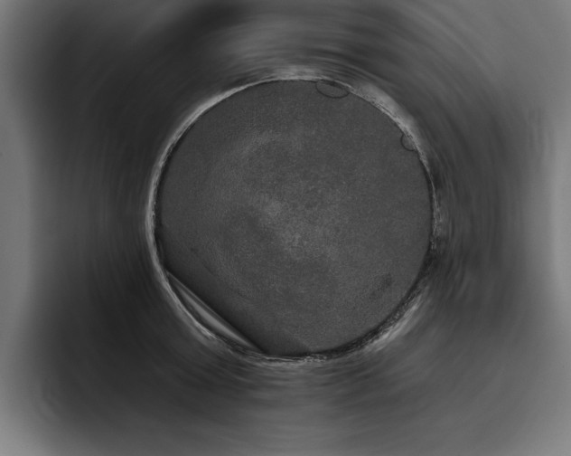 X0000093400803200710121058