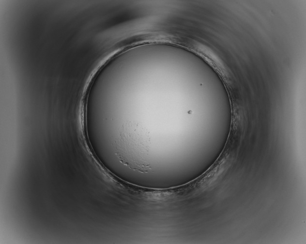 X0000093400804200710121058