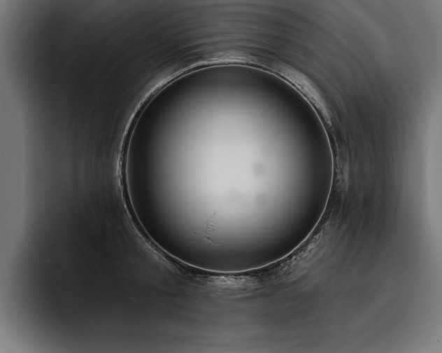 X0000093400805200710121058